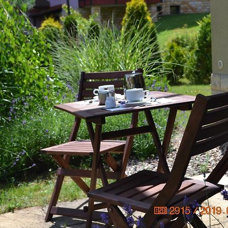 Апартаменти Apartament Parkowa Polana Z Ogrodem Поляниця-Здруй Екстер'єр фото